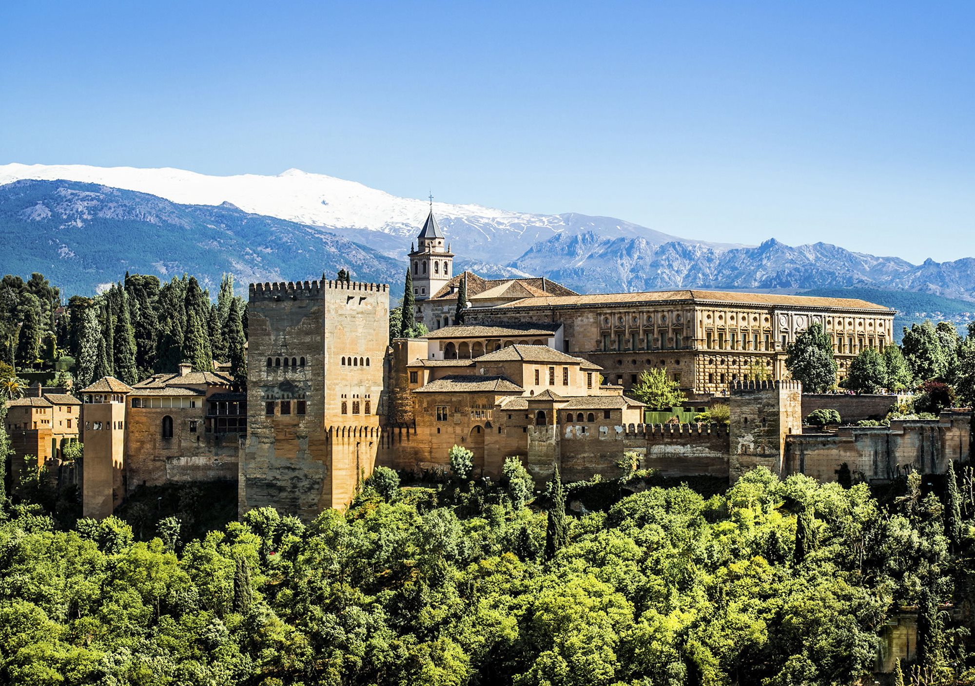 guided tour visit Alhambra and Granada with transfer transport from Costa del Sol included nasrid palaces